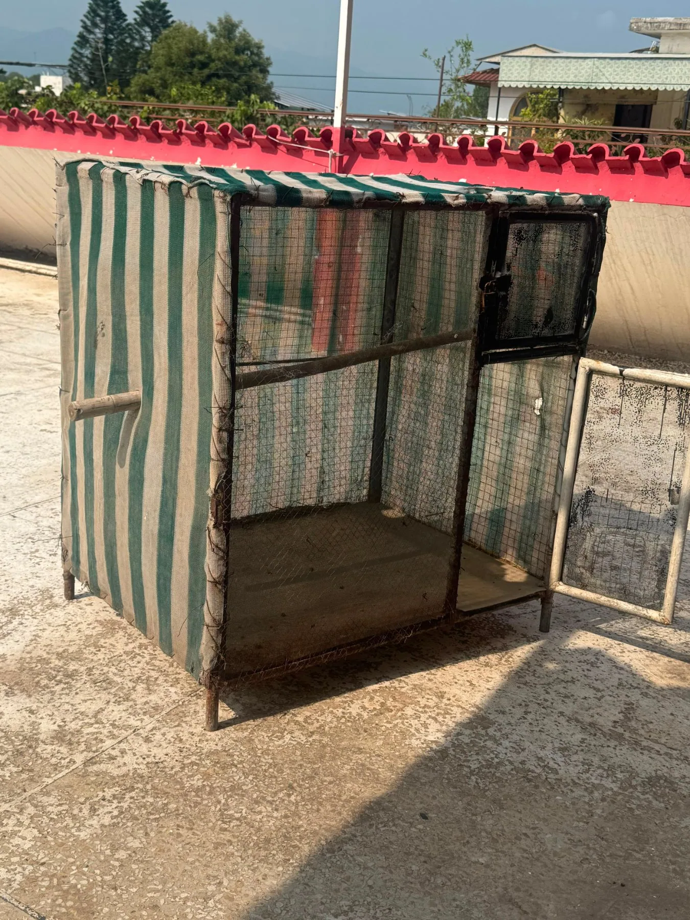 Birds and dog cages image 2